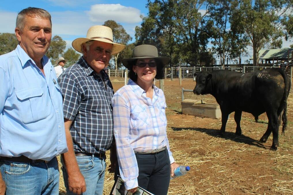 Witherswood Angus manager Ian Peake with Max and Jennifer McBurney, Moglonemby who purchased Witherswood Xplanation H190 for $3500. 