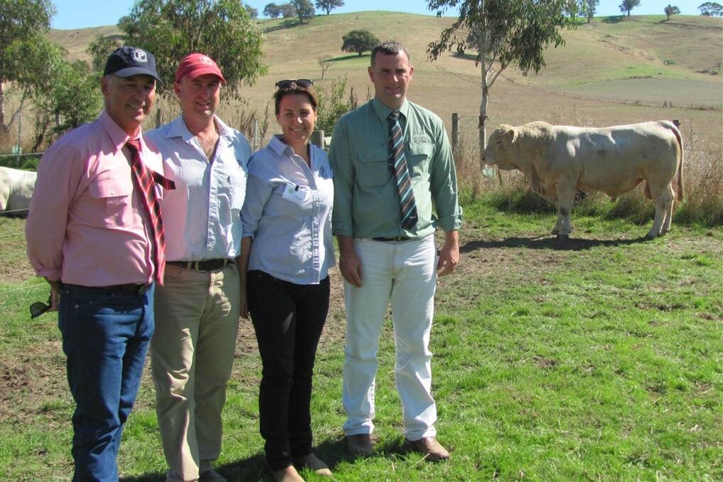 Jim Bruce (left), Elders stud stock southern zone, Paringa principals Tom and Olivia Lawson and Peter Godbolt, Landmark stud stock with the top price bull, Paringa Doc Silver H338, which sold for $8500 yesterday. 
