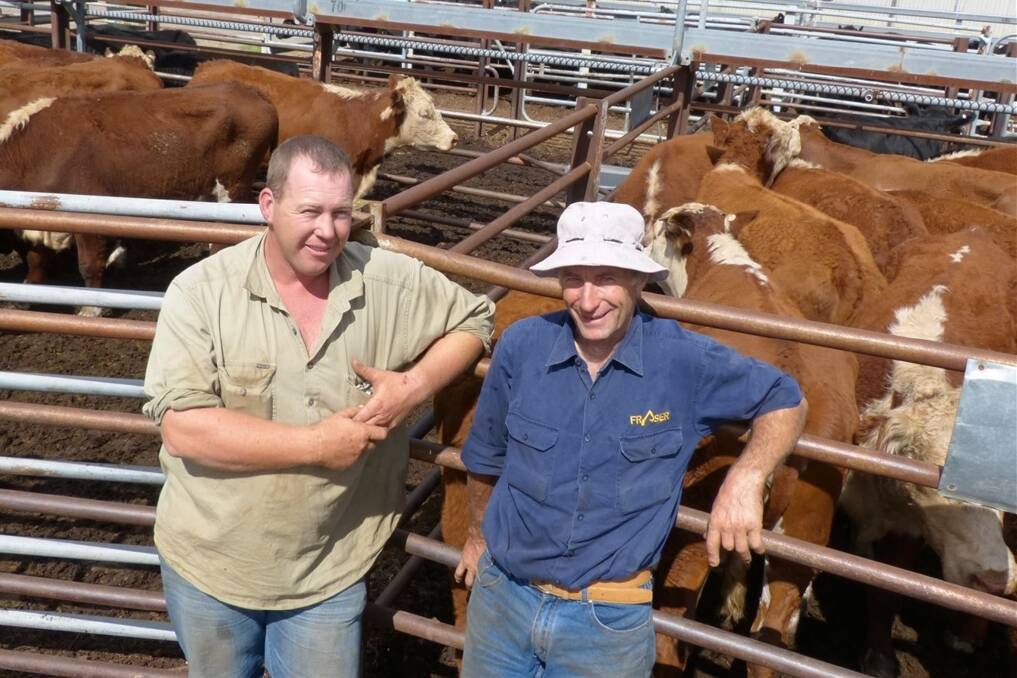 Alan Fraser, Yarrimbah, Mathoura, and Geoff Falls were at Euroa last Friday to see 112 yearling and older Hereford heifers of Yarrimbah sell to $580, averaging $544.