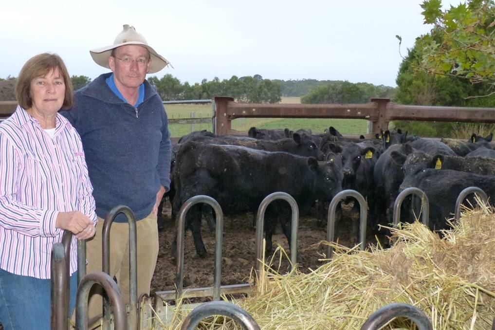 Ross Batten and Madeline Buckley admit they keep a close eye on costs at their Buffalo beef farm – a lesson that’s been learnt through the BetterBeef program.