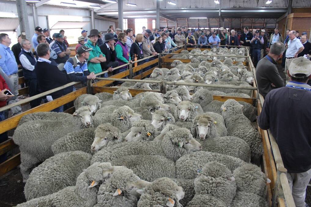 Southern Prime Lamb Group tour arose from Western District lamb producers wanting to promote high quality lamb production.