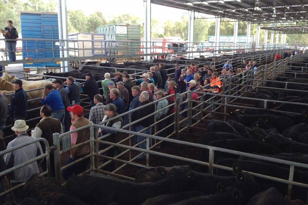 A large crowd congregated at the start of the Yea store sale today. 
