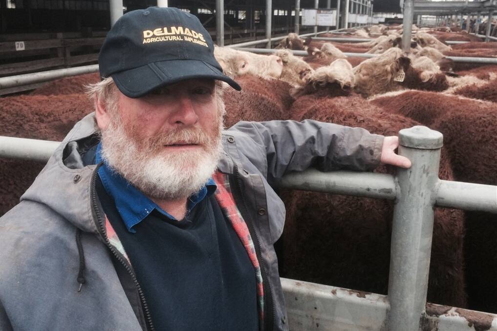 James Davidson, Dalveen, Lake Bolac, sold these 19 Hereford steers, weighing 522kg as rising 2yo, to $930, bought by Elaine farmer David Wells. Mr Davidson also sold the 32 Hereford steers behind across two pens, av 471kg, at $840.