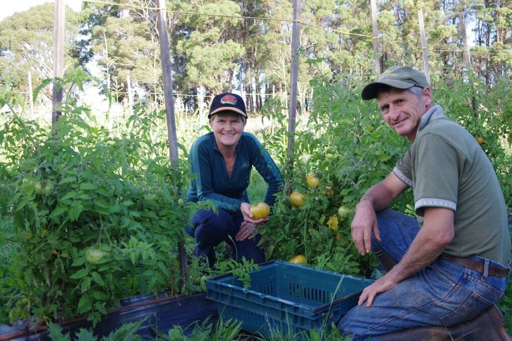 Annette and Nevil Reed on their Selbourne, Tas, farm, where they grow heirloom tomatoes and garlic. 
