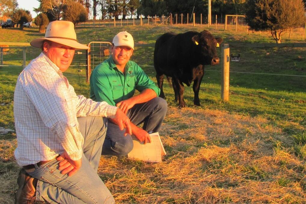 Top Landfall bull buyer Gary Lindsay, Bracknell, Tas, pictured with Landfall co-principal Frank Archer and the bull Landfall Emperor H409.