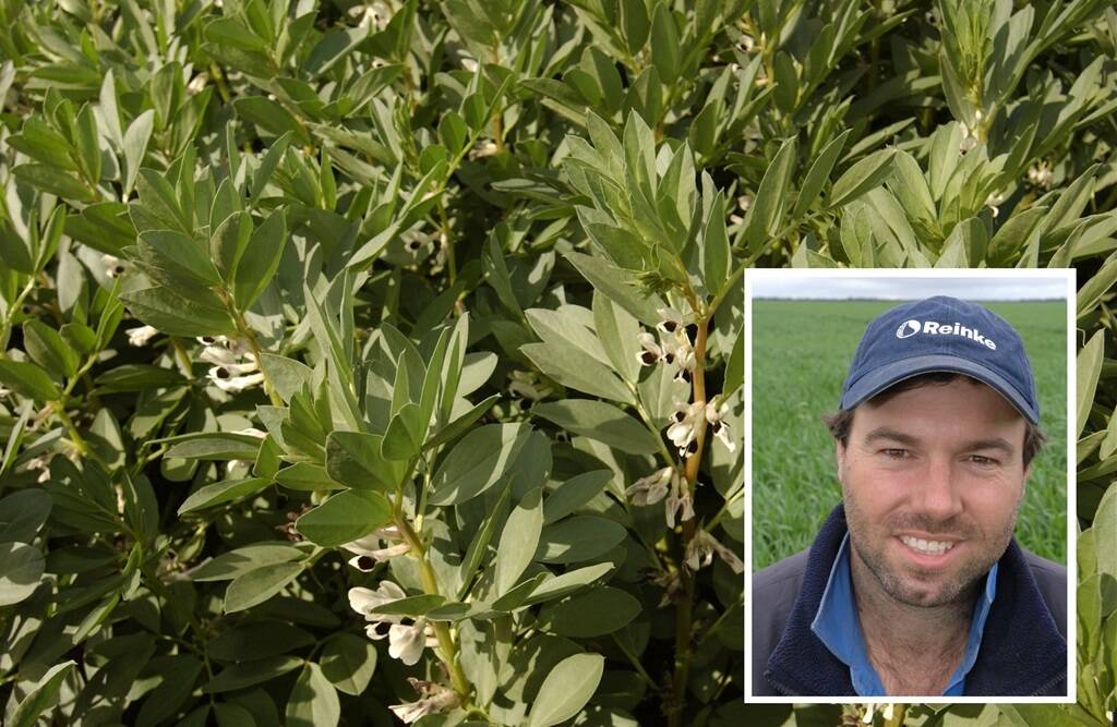 BROAD REACH: Lucindale farmer Lachie Seears used his Nuffield Scholarship to learn more about the supply chain from farm gate to consumer for Australian broad beans.