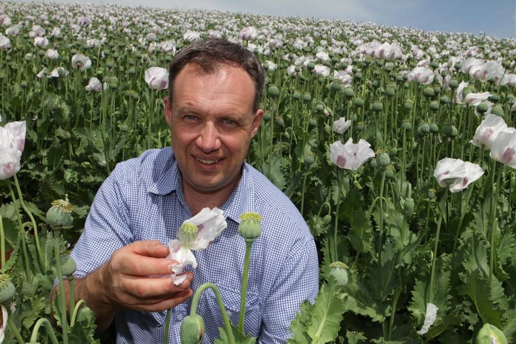 Poppy Growers Tasmania president Glynn Williams says changes to US prescription drug regulations have contributed to Tasmanian Alkaloids’ decision to reduce its poppy planting area for the 2014-15 season.