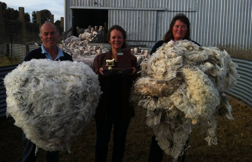 Steve and Lisa Harrison, owners of Bindawarra Merino Stud at Giffard West, with some to their winning fleeces after taking out their third overall wether trial in East Gippsland. They are pictured with Ruth Stewart (centre) who presented the Jim Stewart Memorial Trophy to the winners of the Gippsland Sheep Breeders Association wether trial, held at the East Gippsland Field Days last Friday.