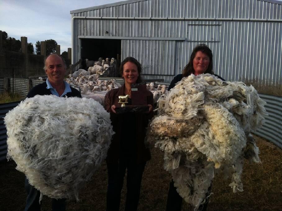 Steve and Lisa Harrison with two of their fleeces, flanked by Ruth Stewart holding the Jim Stewart Memorial Trophy.