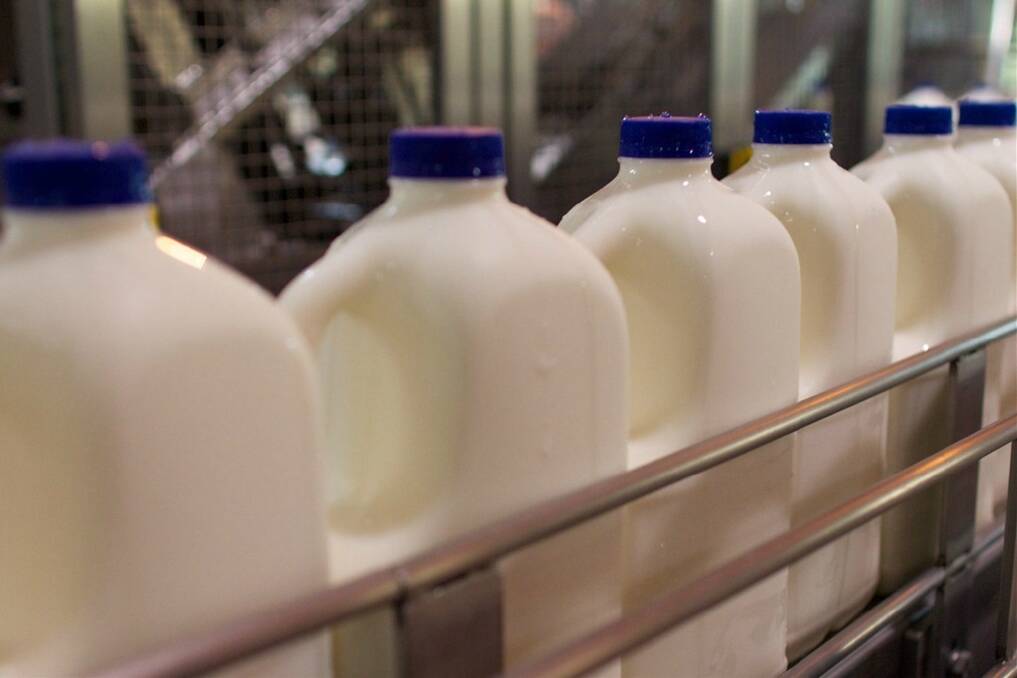 Chinese seek milk diversity