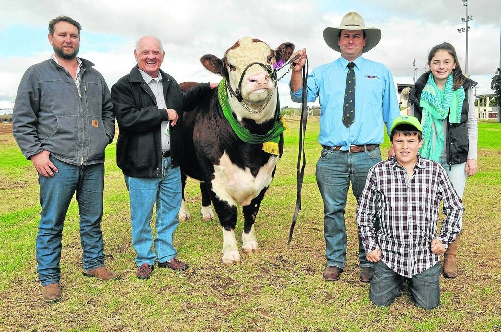 EQUAL TOP: Tom Nixon, Devoncourt and Bob Nixon, Wallan Creek, Drillham , Qld, bought the $30,000 equal top-priced bull, Allendale Anzac H187 in partnership. Allendale stud principal Alistair Day, Bordertown, is holding the bull with son Angus and daughter Eliza.