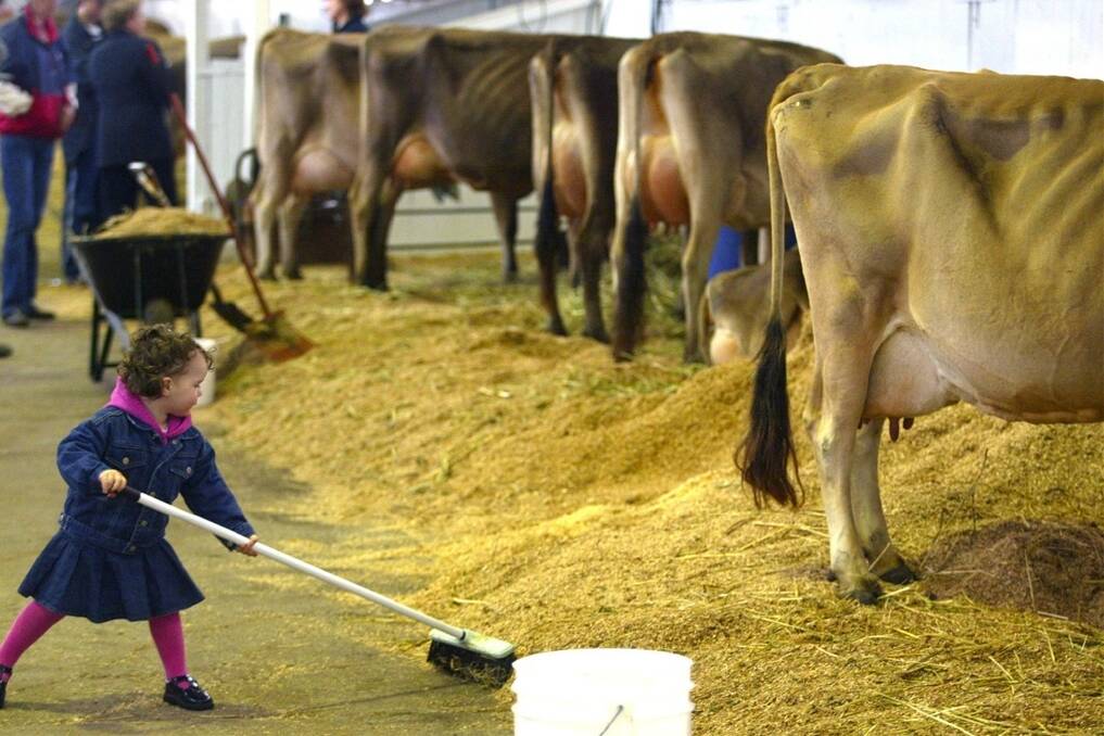 Dairy and sheep entries are being accepted for this year's Royal Melbourne Show.