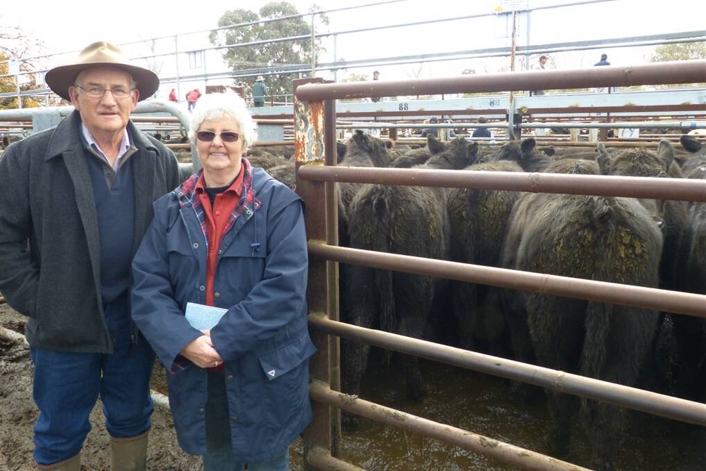 The End of the Year sale at Euroa panned out very well for Bernie and Claire Evans, Ennisvale, Tatong. They were the sales biggest vendor selling 245 TeMania and Dunoon-blood Angus steers. Bernie said they had sold direct to a client for the past five years, but that client has since retired. They averaged $668 for the lot.