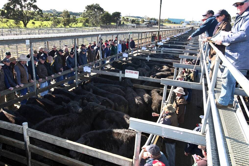 South West vendor Rosverland sold a pen of 16 Angus steers, weihging 440kg, to 199c/kg or $876. Their lighter neighbours weighing 421kg sold to 200c/kg, or $842. 