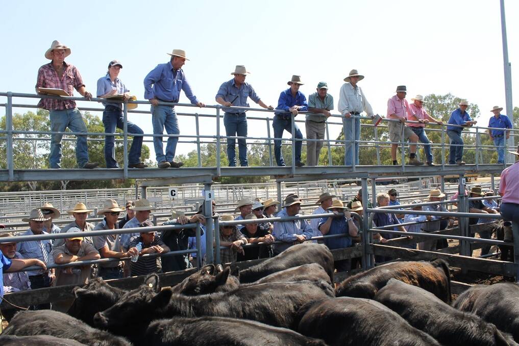 Wangaratta Livestock Agents Association president Justin Keane said the $3.6million saleyard upgrade has gained momentum after talks with the administrator of Wangaratta Rural City explores funding options. 