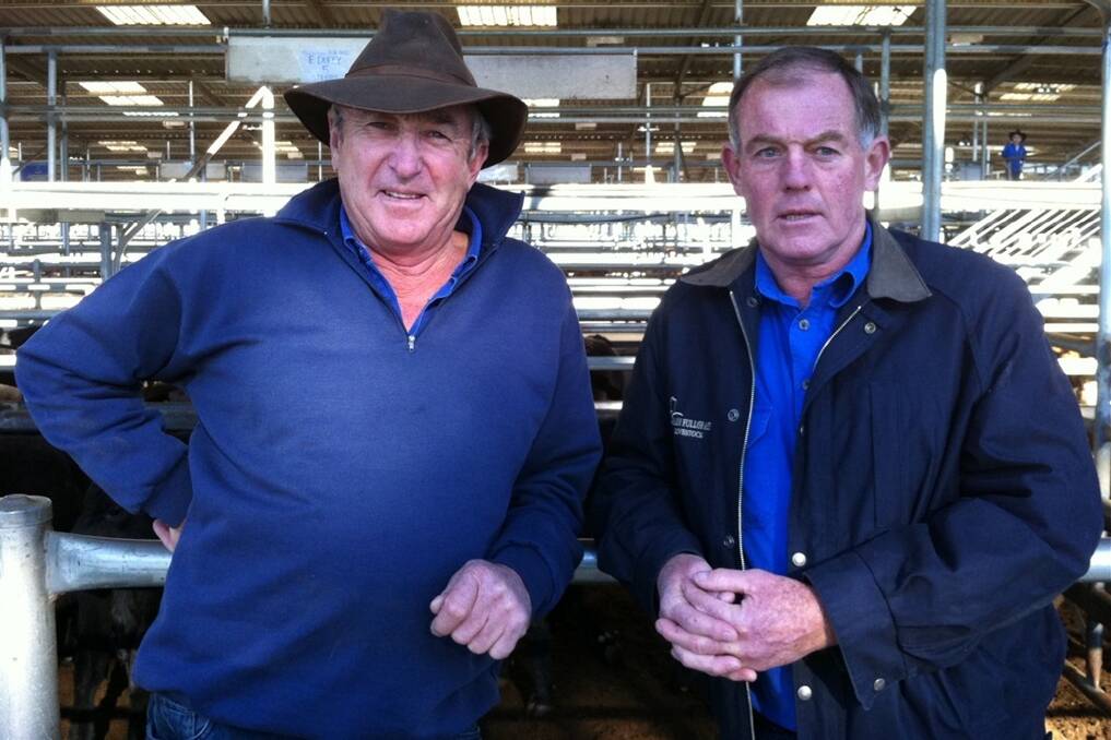 Stock agents Max O'Doherty of Landmark and Kevin Carrolan of Sharpe Fullgrabe were ready to bid at today's store cattle sale at Bairnsdale.