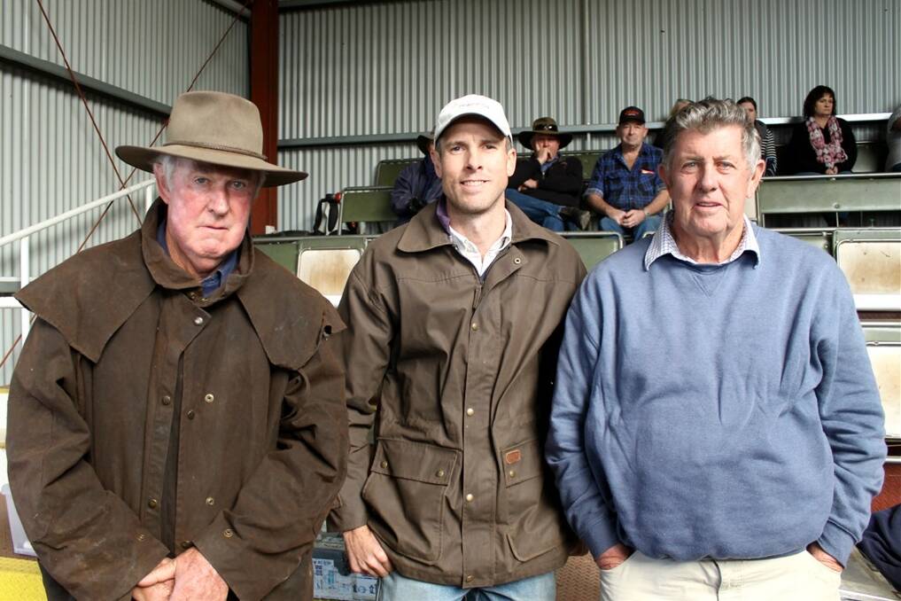 Swan Hill prime and store cattle sale on July 10