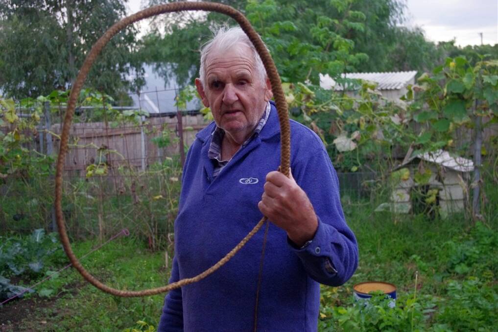 ‘Patchy’ Mitchell holds a plaited bullwhip he made from  bull pizzel.