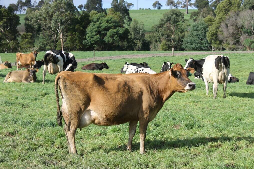 Industry snaps up Dairy Australia graduates
