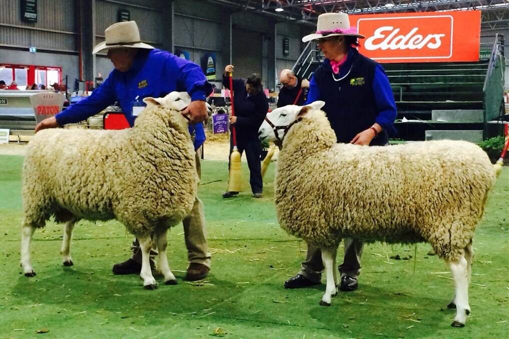 Graham and Isabella Grinter, Retallack, Ariah Park, NSW, with their grand champion ram and ewe. The ewe went on to be named supreme.