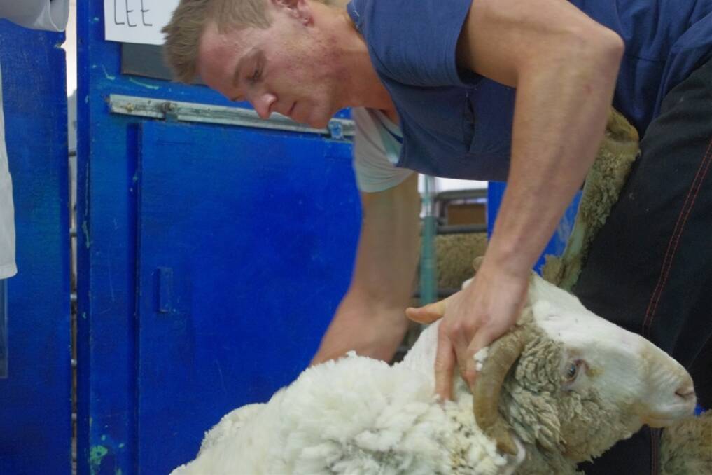 Lee Harris won the Intermediate Shearer competition at the Northern Shears Shearing and Wool Handling competitions at the Bendigo Sheep & Wool show on Saturday.