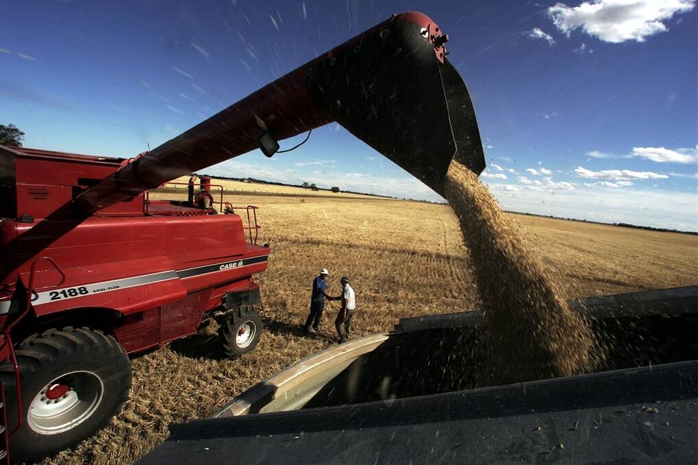 R&D boost for Vic grains