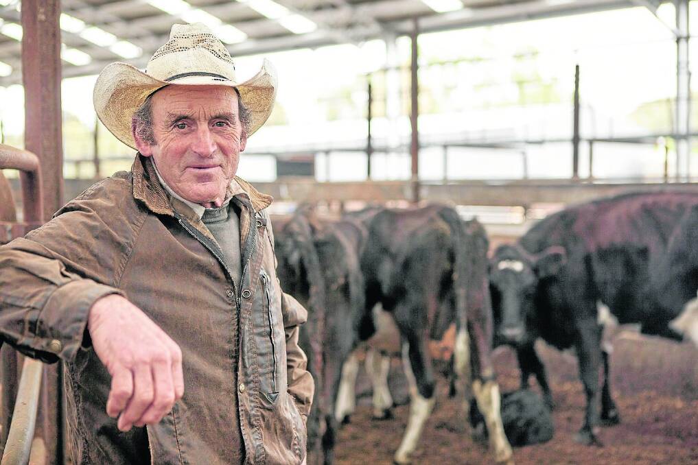 Barry Murphy, Kybybolite, SA, sold PTIC Angus-Friesian cows at point of calving or with Murray Grey calves at-foot for $570 at Naracoorte, SA, last Thursday. Full Naracoorte report p57