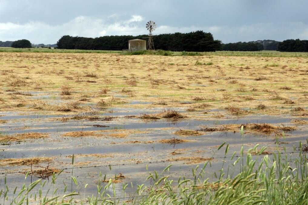 Farmers will get tips on dealing with water-logged crops at the Riverine Plains update.