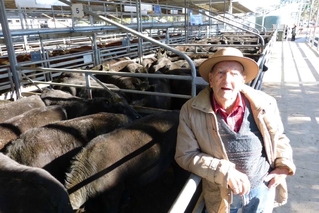 This is the end of an era for Lindsay White, Fernbank, as he has handed over the running of his property to his son Douglas. This is the last of the progeny from Mr White’s property as the cows and heifers have been handed over too. He sold these 78 yearling Angus steers, which were in fat condition, to a top of $1060, averaging $997. As a result he was a very happy man at the Bairnsdale sale.