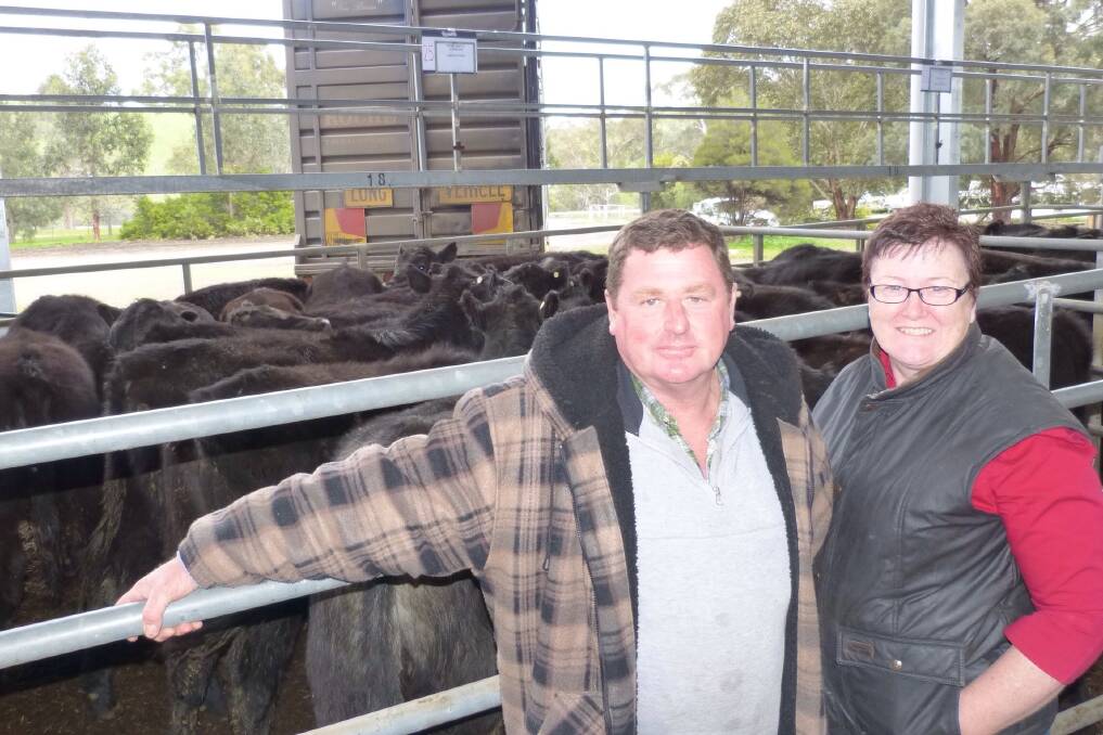 Warren and Monica Sheppard, Concam Pty Ltd, Wildwood, sold this pen of 25 Angus steers for $745 at the Yea store sale, August 8. Warren said they were very pleased with the outcome, as their estimated weight was about 320 kilograms, which made them 233c/kg lwt. Many of the steers in the first two lanes sold from $650-$790.