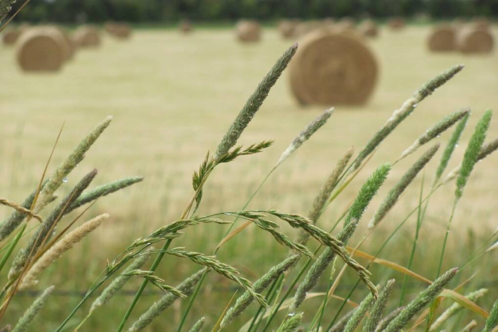 Vic hay growers nab national awards