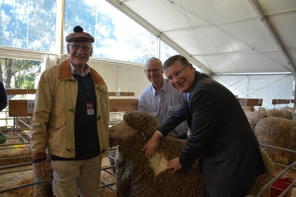 Entries were up as Merinos featured at Sheepvention this year.