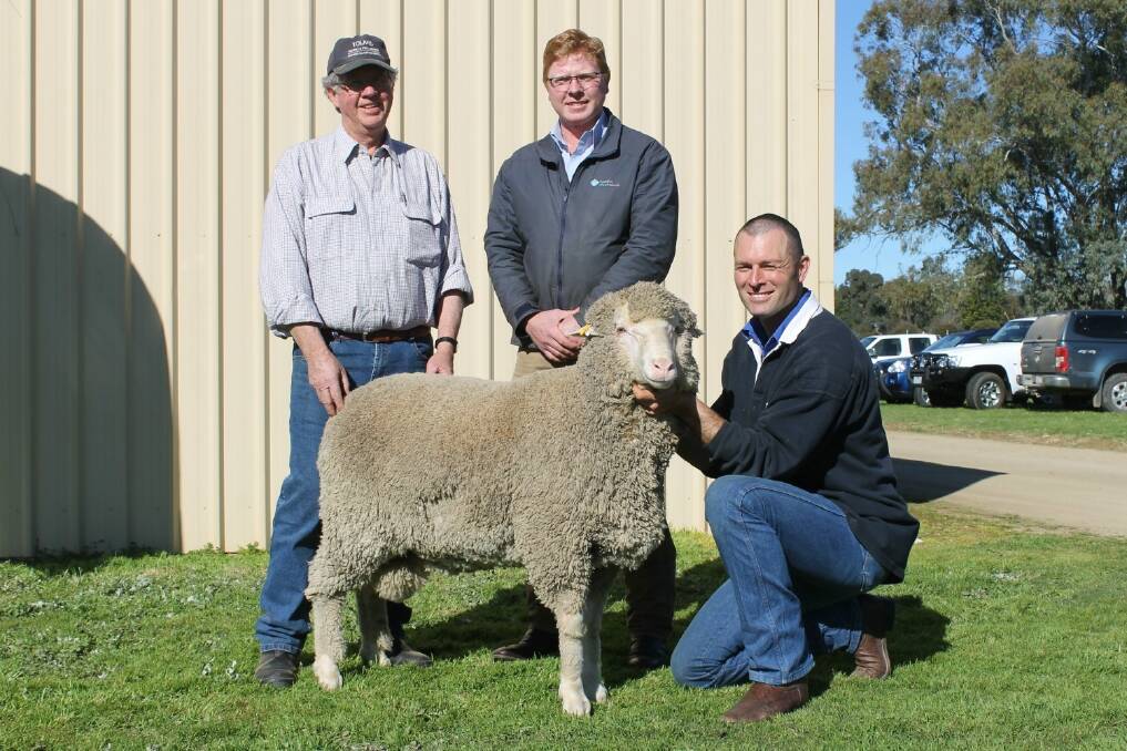 Toland Merinos stud principal Phil Toland, Violet Town, with top bidder Dale Bruns, Australian Wool Network, Hamilton, and Toland Merino stud manager Simon Riddle, with the top-priced ram, which sold for $2700. Mr Bruns bought the ram on behalf of long-time client Sleigh Pastoral, Ruffy.