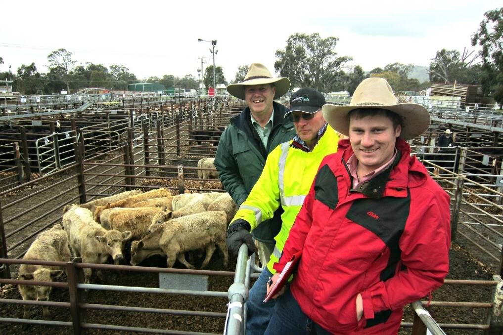 A roof for the Euroa saleyards got the nod of approval at Tuesday night's Strathbogie Shire Council meeting - and a few people were excited to hear the news, including Landmark's Russell Mawson, Richard McGeehan, of the Euroa Saleyards Committee , and Elders' Andrew Medhurst.