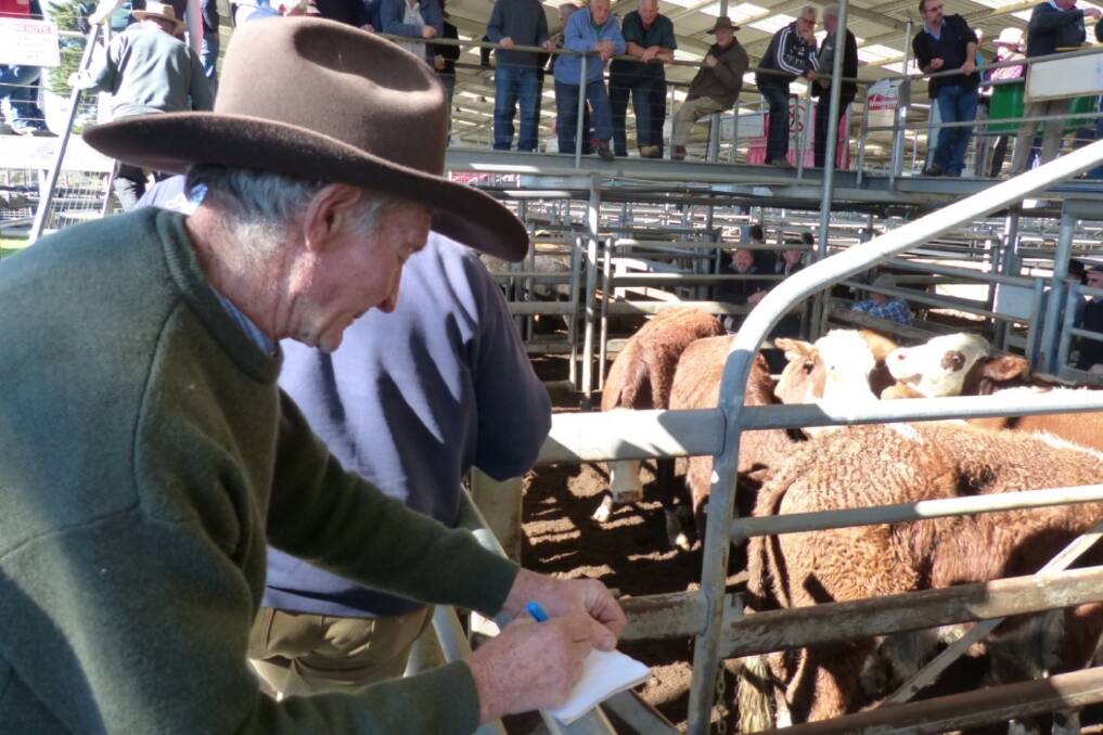 Ron Connley, Benambra, has bred Braford and Braford-cross cattle for a number of years, and he sold seven steers and 30 heifers at Bairnsdale last Friday. Ron's steers were in very good order and sold to $885, and the heifers to $555, to average $458. 