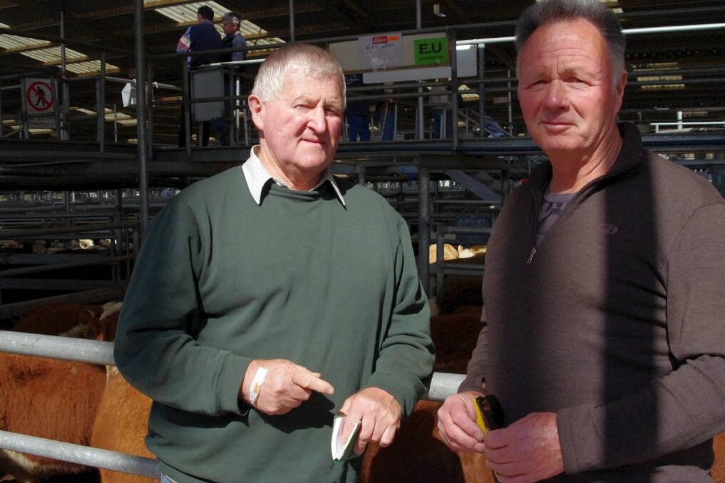 Ian Lester of King Island, Tasmania, (pictured with Ken Skews of Ensay) bought 13 EU-accredited Hereford steers, 10-12-months-old, sent in by Mr Skews. He paid $680 a head. Part of his twice-annual cattle buying mission, Mr Lester walked away from Bairnsdale on Friday with 63 Hereford and Charolais steers for himself and partner Denise O'Keefe and another 11 for his uncle.