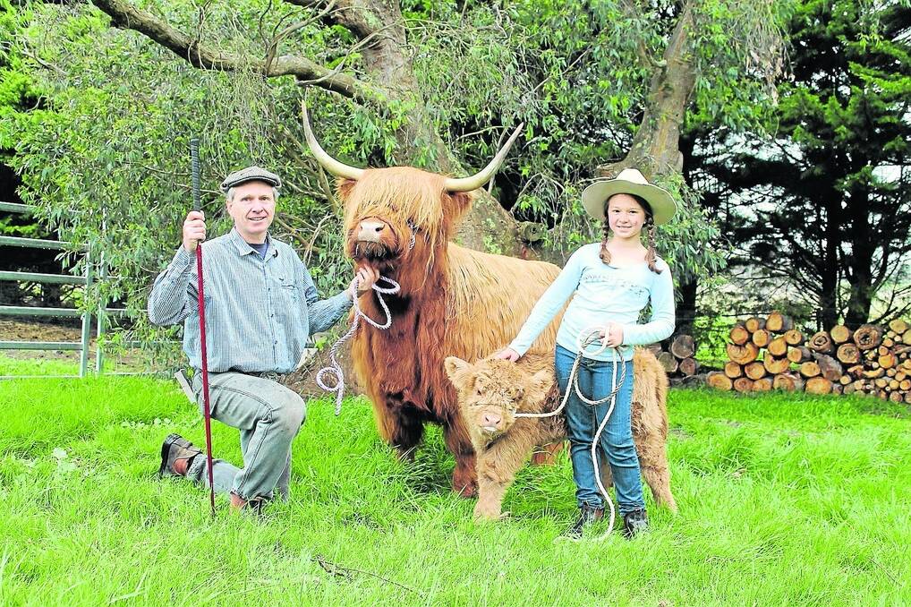 Glen Hastie and daughter Laine, 10, with four-year-old cow Bairnsley Isla and three-week-old calf affectionately known as Heather.