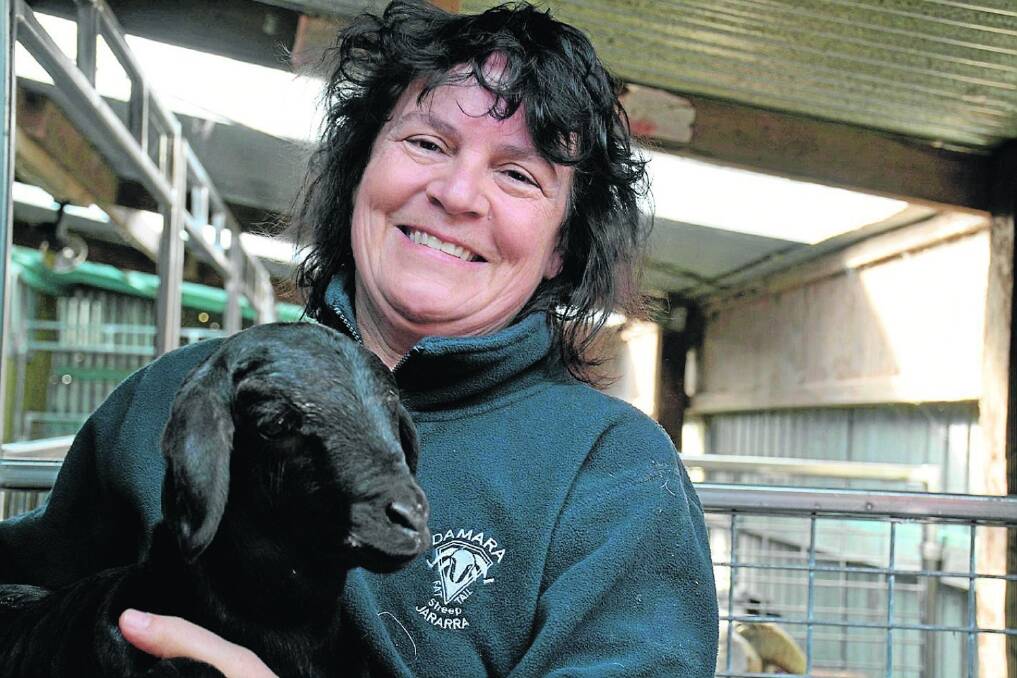 Sue Cairns, Harcourt, will take a team of eight Damaras to the Melbourne Show.