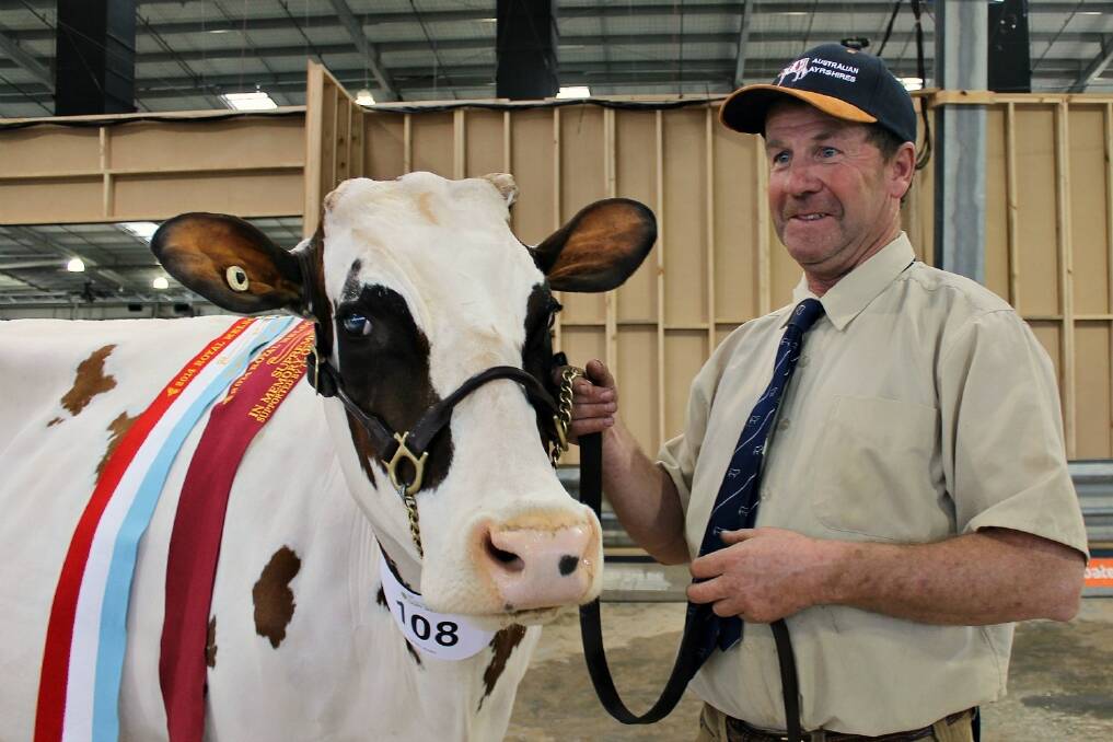 Paul Flanagan, Womboota, holding his supreme champion Ayrshire cow at Melbourne.