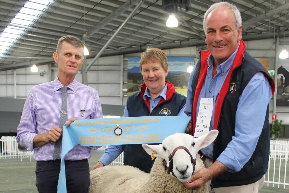 Judge Wilson Beer, Echuca, awarded supreme Border Leicester exhibit to the Geraldine grand champion ram, being sashed by Heather Stoney, Ellingerrin, Modewarra, and held by stud principal Ian Baker, Clydebank.