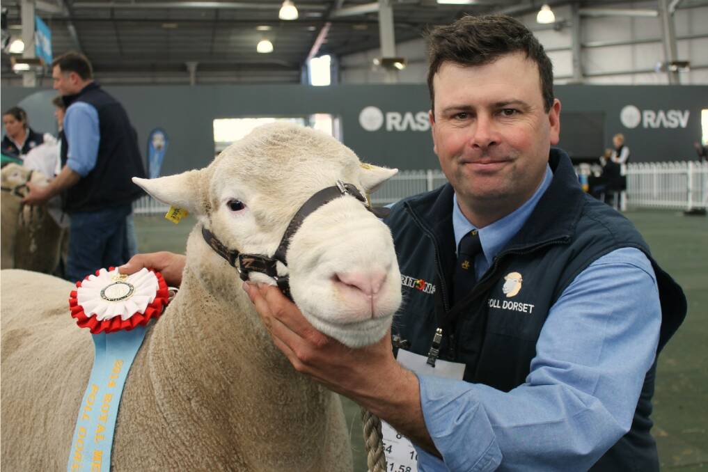 Alastair Day, Allendale, Bordertown, SA, with his supreme champion Poll Dorset (a ram) at Melbourne.