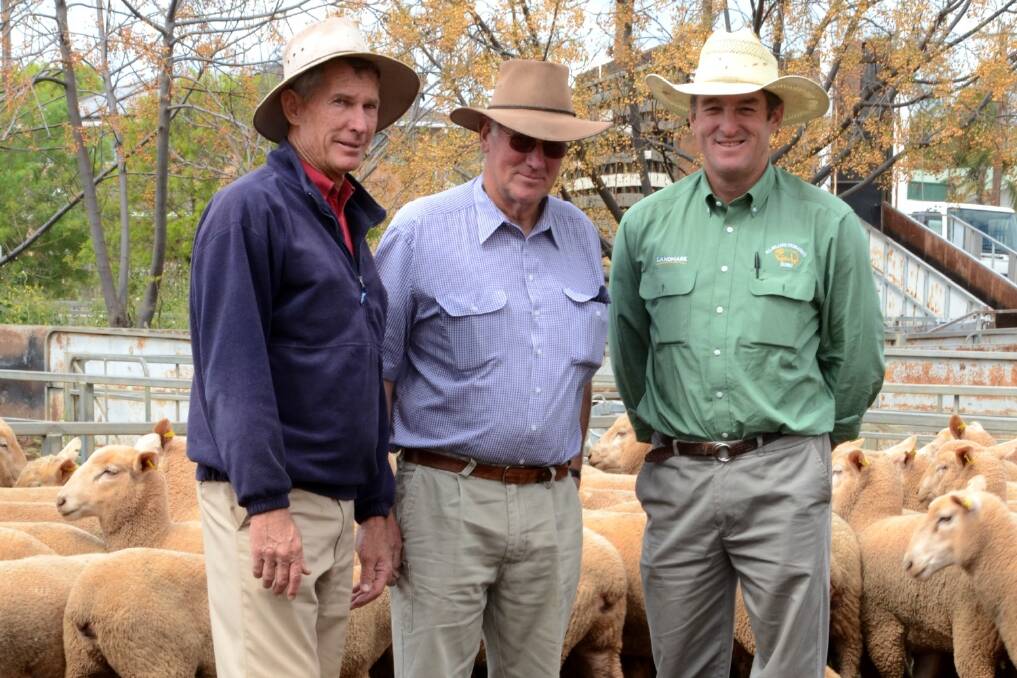 Paul Alchin of Christie and Hood, Gilgandra, NSW, with vendor John Bullock, Hill Head, Bodangora near Wellington, NSW, who sold this pen of 303 first-cross ewes by Bindaree sires, August-September 2013-drop and July-shorn for $203 a head to Neil Frogley, Rosebank, Arthurville, on the other side of Wellington, who is represented by Peter Thomas of Landmark Milling Thomas, Dubbo.