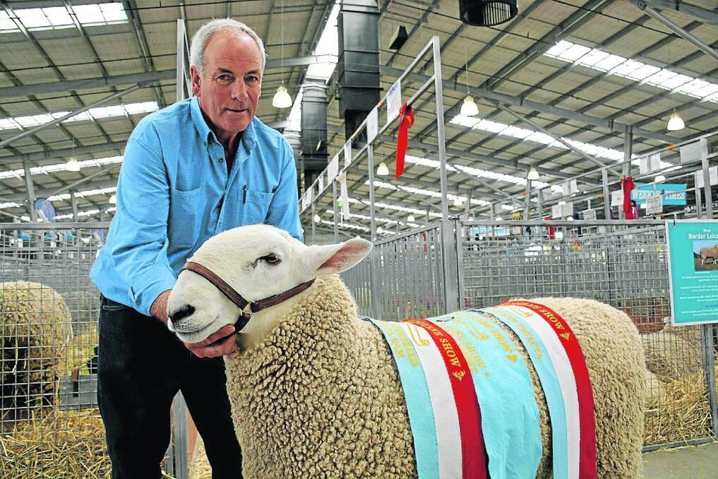 Ian Baker, Geraldine Border Leicester stud, secured a maiden victory in the Melbourne Royal interbreed judging on Monday.