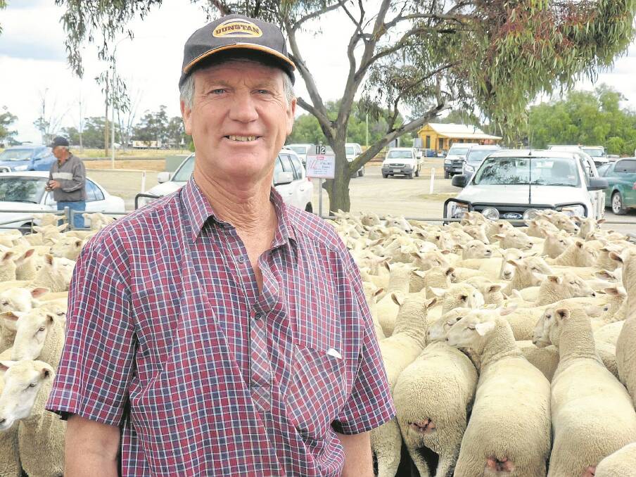 Ken Hinckley, Wilkur, has had good sheep feed this year.