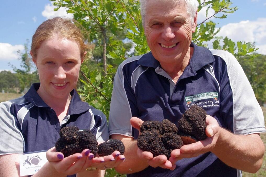 Kaitlyn and Colin Carter with French black truffles harvested from the family’s truffière at Gembrook. Mr Carter is leading research into the industry and has focussed on developing skills in tree propagation, certification and inoculation using truffle spores.