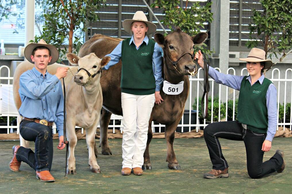 Most successful exhibitor Crystal Bell (centre), of Prairie Falls stud, Flinders, and the supreme Murray Grey exhibit, with Callum Bell and Dayna Grey.