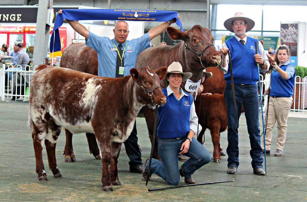 Four-year-old senior champion cow was exhibited by Krystelle and Keith Ridley, Nero stud, Condobolin, NSW pictured with sponsor Tony Warner, International Animal Health Products.