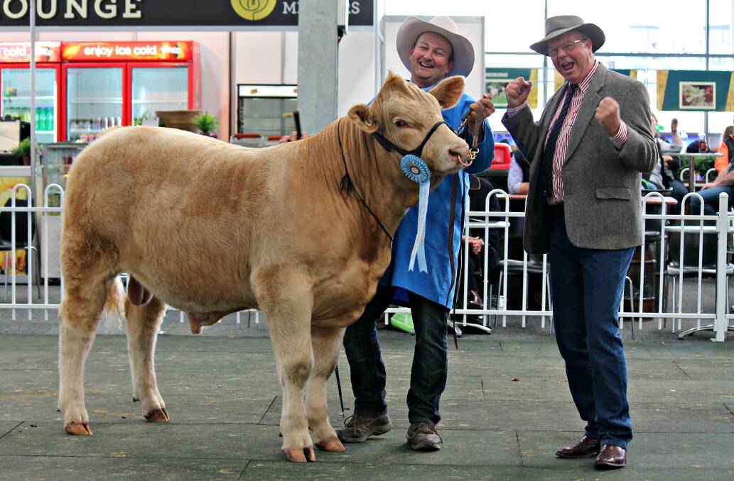 Judge Stephen Branson, Mortlake, with the supreme Charolais exhibit, 10-month-old Airlie Jimmy, exhibited by Warren Miller of the McLachlan Group, Sydney.