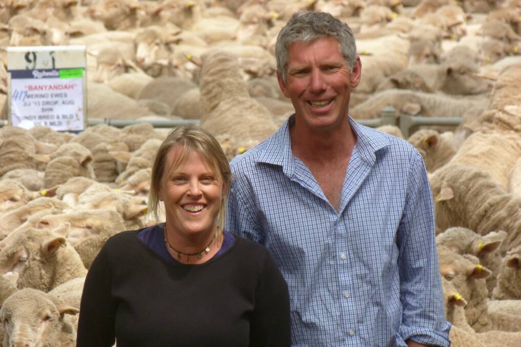 Ian and Camilla Shippen, Banyandah Pastoral were the major vendors at Deniliquin offering 3000 of their Bundyalumba-blood and bred young ewes. August-shorn, the line made to $160, and averaged $130.60.