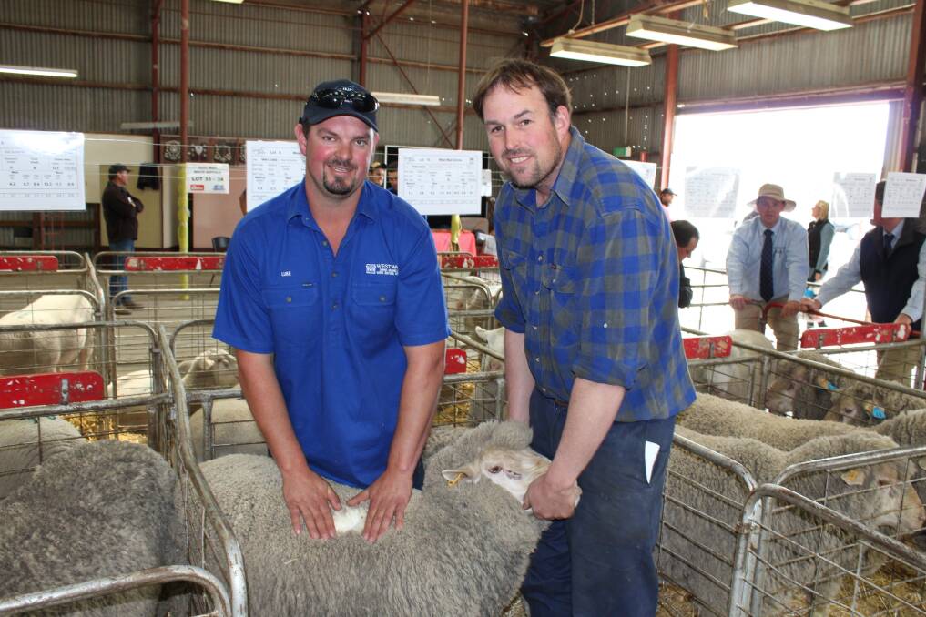 Luke Ellis, Dohne stud manager at West Wail, with $1500 top price Dohne ram buyer Ben Coad, Shelford. Mr Coad said the Dohne breed was doing well in his local area, near Geelong.
